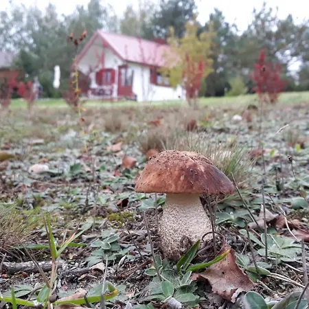Hubertówka Domek letniskowy