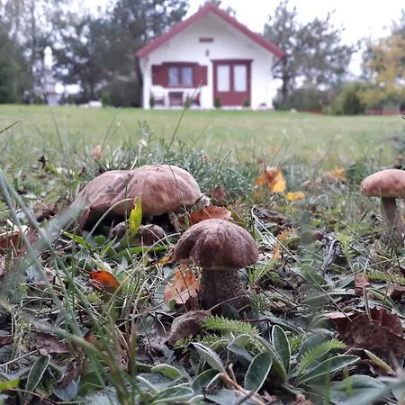 Hubertówka Domek letniskowy