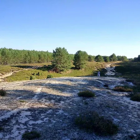 Domek letniskowy Hubertówka *