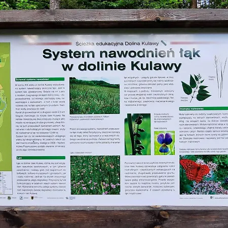 Hubertówka *