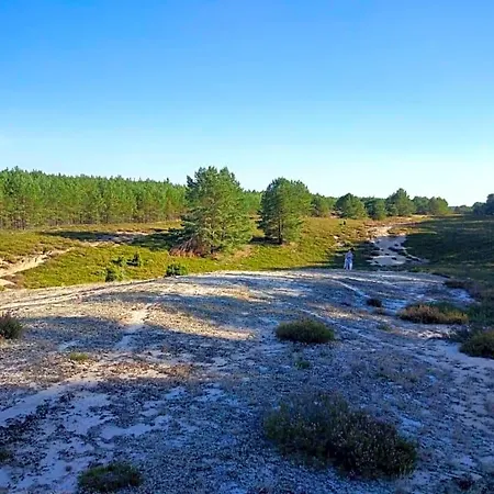 Hubertówka
