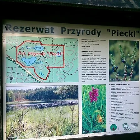 Domek letniskowy Hubertówka