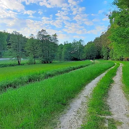 Domek letniskowy Hubertówka Czapiewice