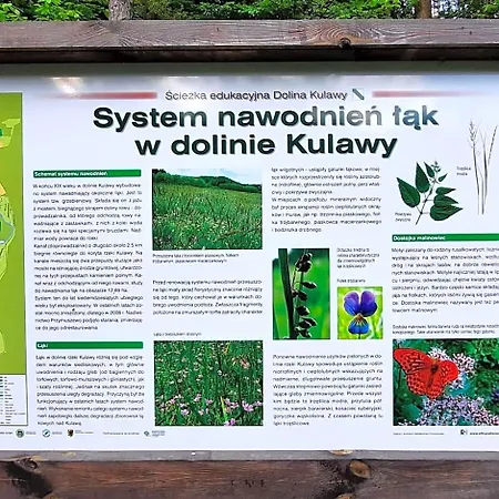 Hubertowka Czapiewice