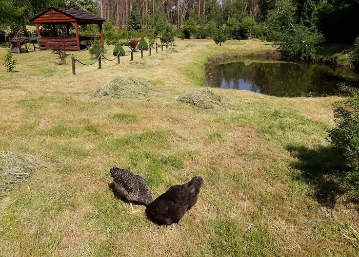 Hubertowka Orman Evi