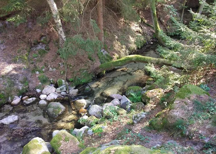 Hubertowka Czapiewice