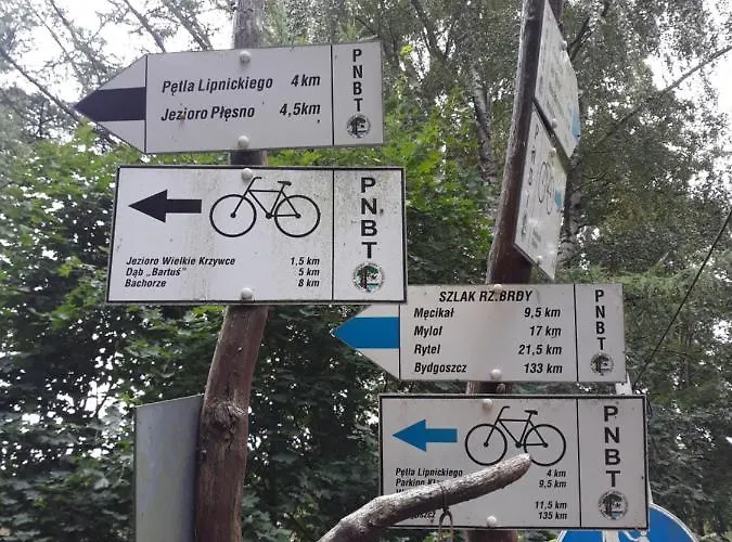 Hubertowka Orman Evi Czapiewice