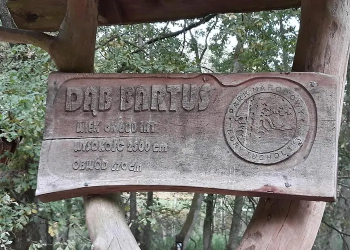 Hubertowka Orman Evi *