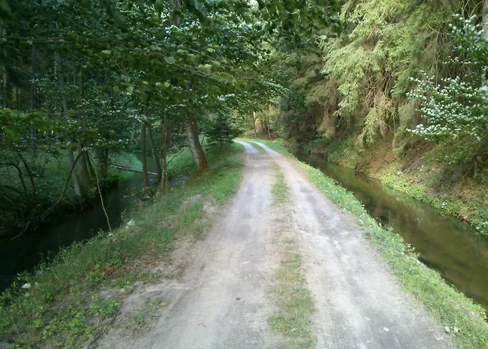 Hubertowka Orman Evi Czapiewice