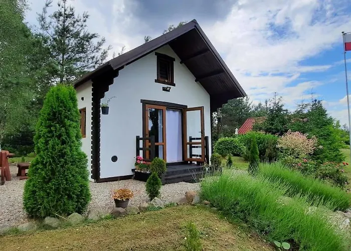 Hubertowka Orman Evi Czapiewice