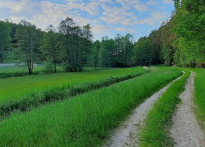 Hubertowka * Czapiewice